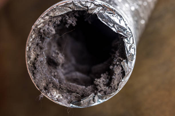 Best HVAC Air Duct Cleaning  in Manchester, IA